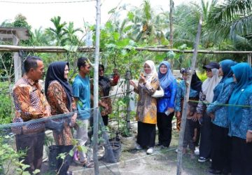 Lomba ‘Aku Hatinya PKK’, Dorong Pemanfaatan Pekarangan untuk Ketahanan Pangan