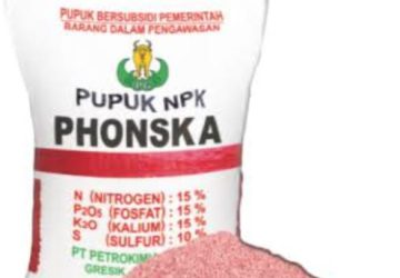 Beredar Isu Pupuk Bersubsidi Di Kabupaten Nias Tidak Sesuai HET, Ampiliatus Membantah!