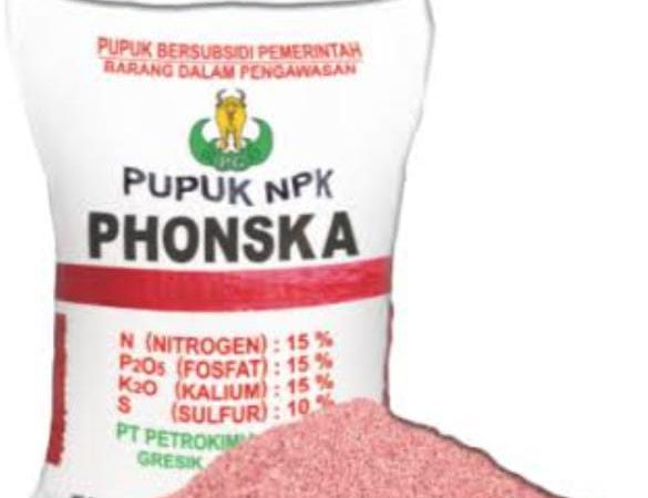 Beredar Isu Pupuk Bersubsidi Di Kabupaten Nias Tidak Sesuai HET, Ampiliatus Membantah!