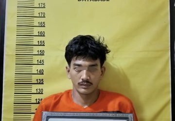 Pemuda Desa Tani Makmur Indragiri Hulu Nekat Curi Sawit untuk Beli Narkoba