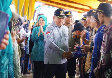Panen Raya Jagung di Kecamatan Lalan: Mewujudkan Swasembada Pangan Muba
