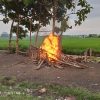 Tim Gabungan Polda Jatim, Tegakkan Hukum Kepada Pelaku Aktivitas Sabung Ayam