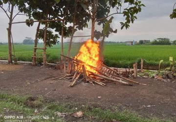 Tim Gabungan Polda Jatim, Tegakkan Hukum Kepada Pelaku Aktivitas Sabung Ayam
