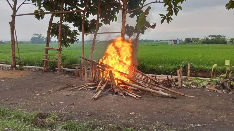 Tim Gabungan Polda Jatim, Tegakkan Hukum Kepada Pelaku Aktivitas Sabung Ayam