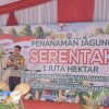 Sinergi Dengan Polres Muara Enim, Bukit Asam Turut Mendukung Penanaman Jagung Serentak