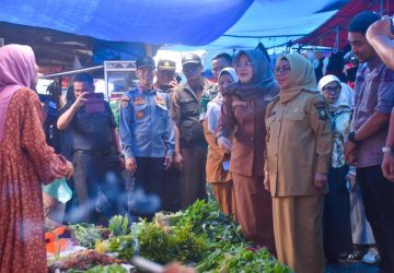 Wakil Bupati Kampar Tinjau Pasar Kuok, Pastikan Harga Sembako Stabil Jelang Ramadhan
