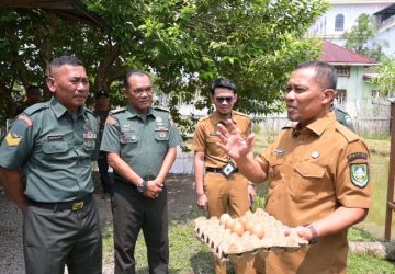 Wabub Tinjau Demplot Peternakan Ayam Petelur Koramil 01 Bengkalis