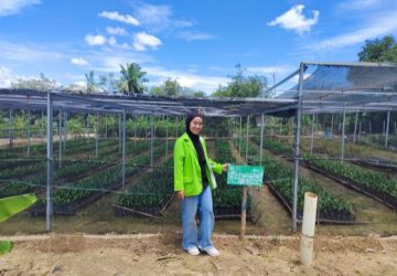 UMKM Bibit Kelapa Sawit Menjadi Pilar Ekonomi Lokal Dengan Manajemen Yang Berkelanjutan