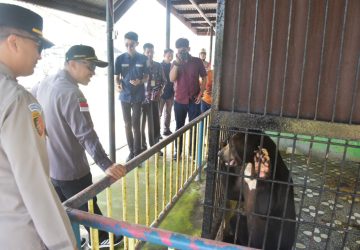 Kunjungi Kebun Binatang, Wabup Ajak Masyarakat Liburan Lebaran Ke Pantai Selat Baru