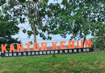 PTPN lV Regional III Lubuk Dalam, Pekerjakan Karyawan pada Hari Minggu dan Libur Nasional secara Paksaan