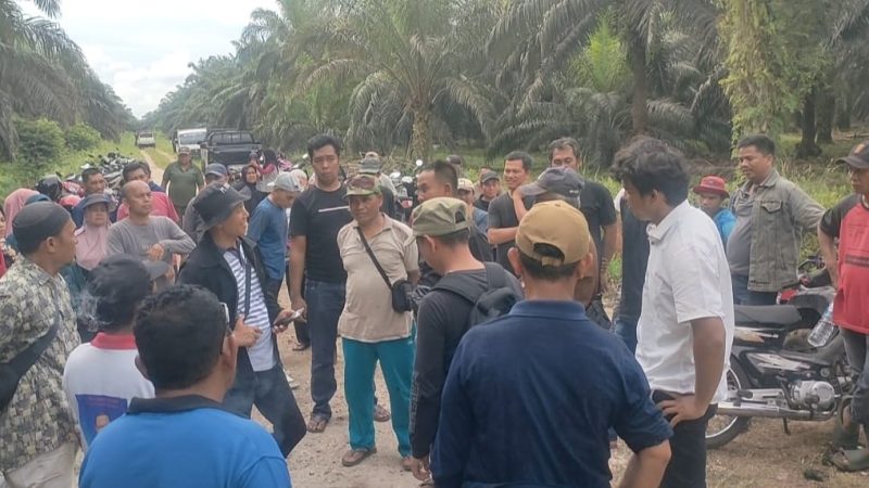 Anggota Kelompok Tani Kubersa dan Masyarakat Desa Pantai Raja Halau Pemasangan Patok Oleh Kelompok Hanafi CS