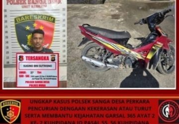 Otak Pelaku Curas Di Desa Keban Berhasil Diamankan Unit Reskrim Polsek Sanga Desa