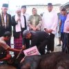 Wabup Sumarni Shalat Iduladha 1446 H di Masjid Agung dan Tinjau Penyembelihan Hewan Qurban