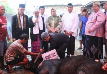 Wabup Sumarni Shalat Iduladha 1446 H di Masjid Agung dan Tinjau Penyembelihan Hewan Qurban