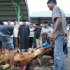 Masjid Al-Mubarak Sembelih 11 Hewan Kurban, Ketua DPRD Septian Nugraha Turut Berkurban dan Hadir Langsung di Lokasi