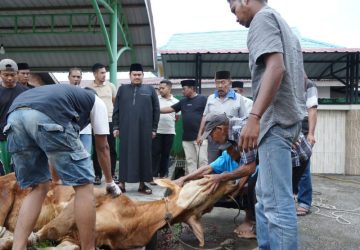 Masjid Al-Mubarak Sembelih 11 Hewan Kurban, Ketua DPRD Septian Nugraha Turut Berkurban dan Hadir Langsung di Lokasi