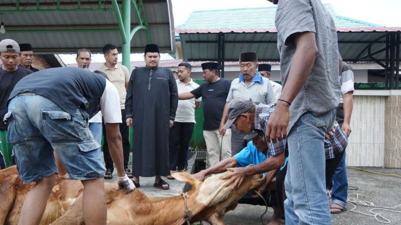 Masjid Al-Mubarak Sembelih 11 Hewan Kurban, Ketua DPRD Septian Nugraha Turut Berkurban dan Hadir Langsung di Lokasi