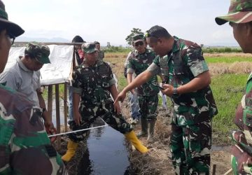 Dandim 0417/Kerinci Bersama Kadistan Sungai Penuh Tinjau Titik Nol Optimasi Lahan Pertanian.