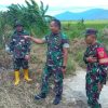 Pemulihan Lahan Demi Lingkungan Lestari, Dandim Kerinci Tinjau Lokasi Opla Sektor 3 dan 7