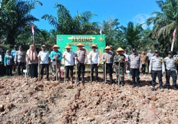 Dukung Program Ketahanan Pangan Nasional, Polres Rohul Gelar Penanaman Jagung Serentak Kuartal III
