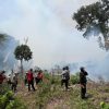 Kapolres AKBP Emil, Libatkan Seluruh Perwira Polres Rohul Padamkan Api di Lokasi Karhutla, Rokan IV Koto dan Kec Rambah