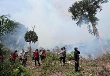 Kapolres AKBP Emil, Libatkan Seluruh Perwira Polres Rohul Padamkan Api di Lokasi Karhutla, Rokan IV Koto dan Kec Rambah