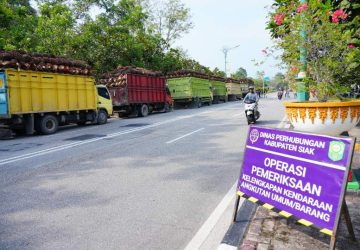 Dishub Siak Gelar Operasi Pemeriksaan Kendaraan Angkutan dan Tertibkan Puluhan Mobil ODOL Bermuatan Sawit