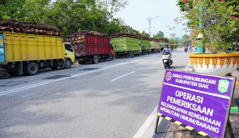 Dishub Siak Gelar Operasi Pemeriksaan Kendaraan Angkutan dan Tertibkan Puluhan Mobil ODOL Bermuatan Sawit