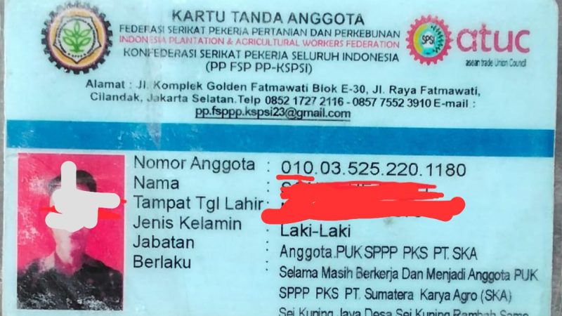 Serikat Buruh PUK SP3 SKJ PT SKA Desa Sei Kuning Nonaktifkan Anggota Bongkar Muat, Diduga Tanpa Alasan yang Jelas