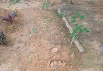 Kuburan Orang Kristen di Pekan Tebih, Diduga Dirusak oleh Orang tidak Dikenal