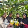 HBAP Toreh Prestasi Internasional Lewat Program Hijau Berbasis Agribisnis Pekarangan