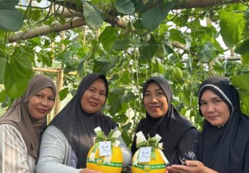 HBAP Toreh Prestasi Internasional Lewat Program Hijau Berbasis Agribisnis Pekarangan