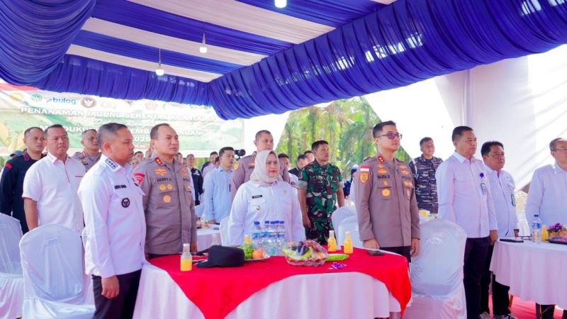 Dukung Swasembada Pangan 2025, Bupati Kasmarni Ikut Tanam Jagung Serentak Kuartal IV Bersama Gubernur dan Kapolda Riau