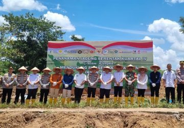 Kolaborasi Wujudkan Ketahanan Pangan Melalui Program Penanaman Jagung