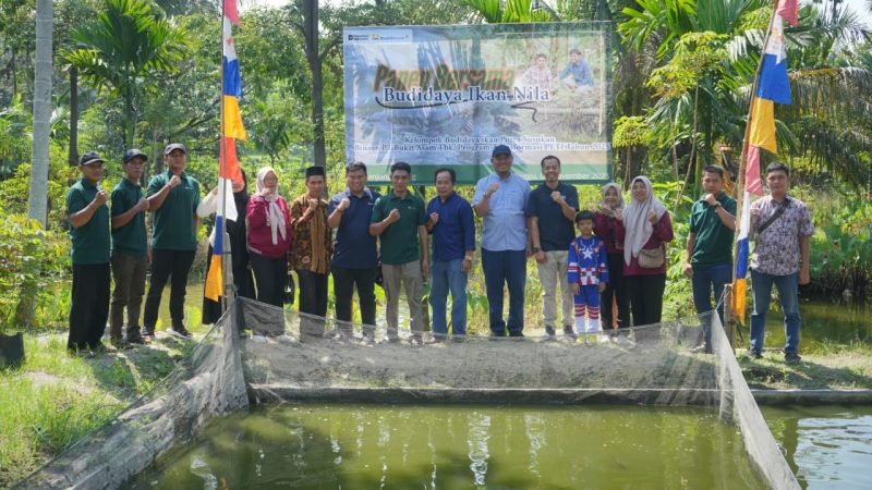 Transformasi PETI melalui Panen Bersama Budidaya Ikan Nila di Desa Tanjung Agung