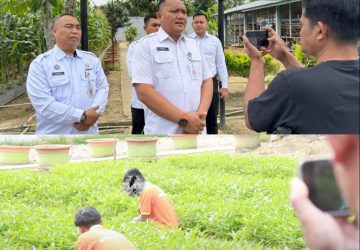 Lapas Pasir Pangaraian Gandeng Media, Promosikan Program Ketahanan Pangan bagi WB