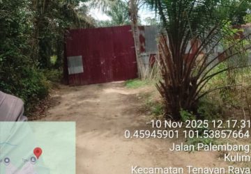 Diduga TNI dan Polri Tutup Mata, Pelaku Penimbunan BBM Bersubsidi Jenis Solar Di Kecamatan Tenayan Raya  Pekanbaru Tidak Tersentuh Hukum
