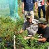 Dorong Stabilitas Cabe, Wabup Bagus Santoso Tinjau Potensi Pertanian di Bantan