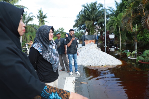 Bupati Afni Tinjau Lokasi Banjir di Mengkapan, Cari Solusi Jangka Panjang