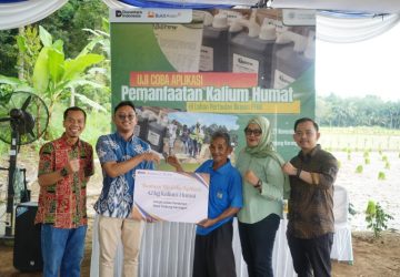Langkah Nyata PTBA Tingkatkan Hasil Panen Petani Muara Enim Lewat Uji Coba Pemanfaatan Kalium Humat