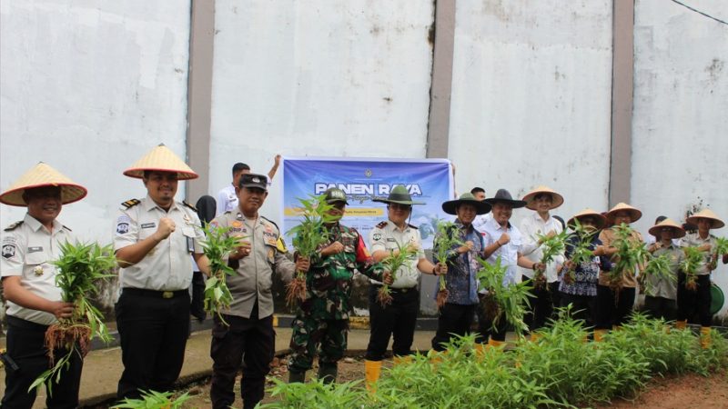 Lapas Muara Enim Ikuti Panen Raya Serentak Wujudkan Ketahanan Pangan Dan Kepeduluan Sosual