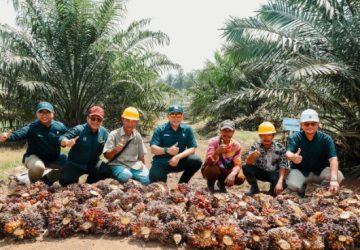 PTPN IV PalmCo: ‘Miniatur Indonesia’ di Balik Strategi Ketahanan Pangan dan Energi Nasional