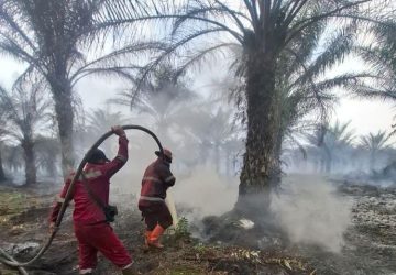 Karhutla Capai 1.041 Hektare, Status Siaga Darurat Diperkuat Operasi Modifikasi Cuaca