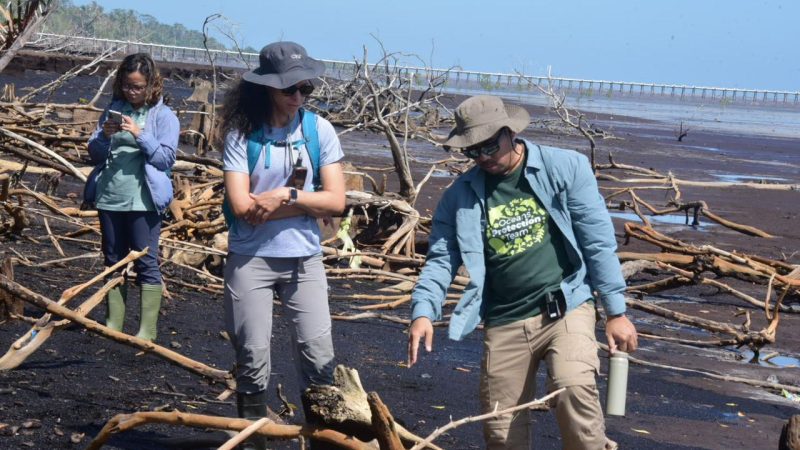 Kawasan Restorasi Mangrove Teluk Pambang Dikunjungi Tim ASEAN-UK GTF