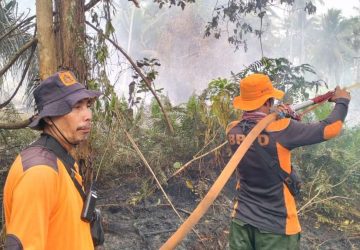 Inhil Tetapkan Status Siaga Darurat Karhutla, Tim TRC BPBD Berjihad Lawan Api di Tempuling