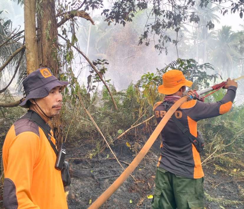 Inhil Tetapkan Status Siaga Darurat Karhutla, Tim TRC BPBD Berjihad Lawan Api di Tempuling
