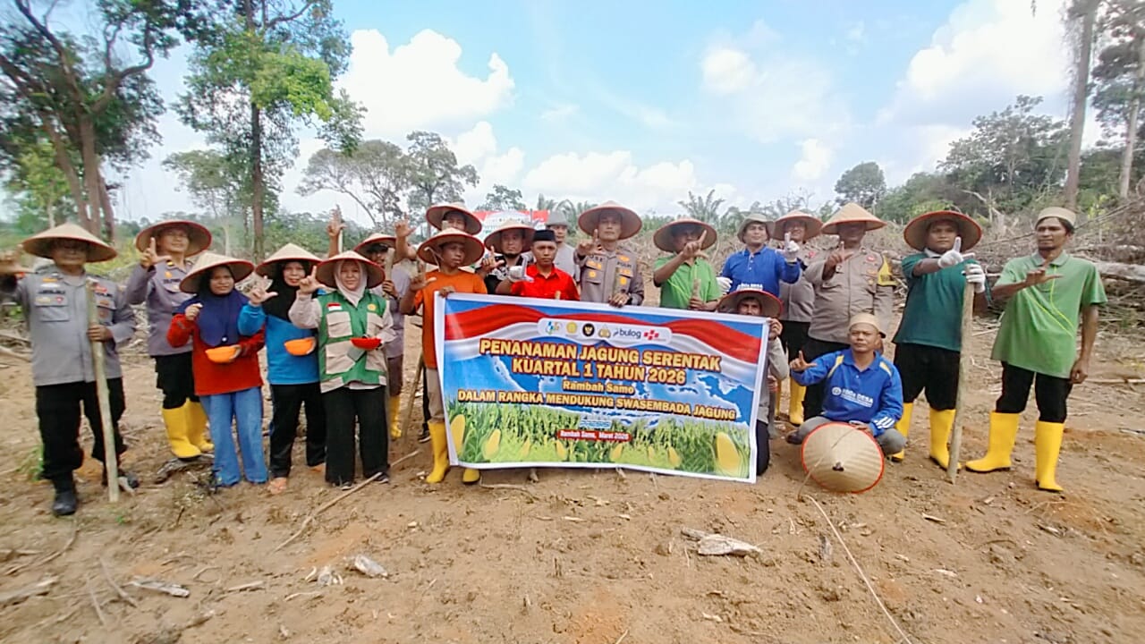Dukung Ketahanan Pangan, Kapolsek Rambah Samo Pimpin Penanaman Jagung Serentak di Desa Sei Salak