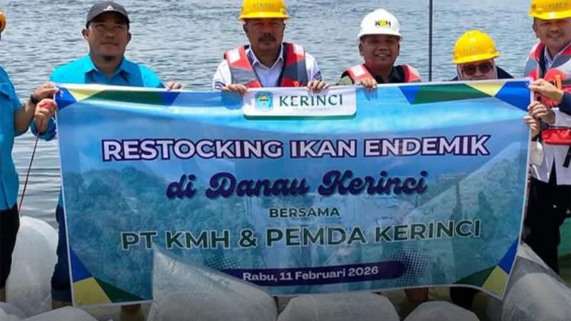 Jaga Ekosistem, PT KMH dan Pemkab Kerinci Tebar Ribuan Ikan Endemik di Danau Kerinci
