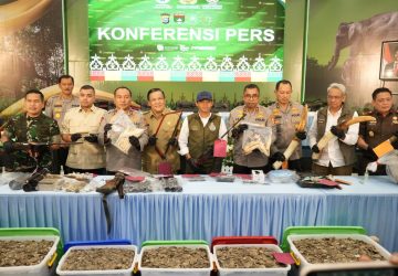 Polda Riau Gulung Sindikat Pemburu Gajah Tanpa Kepala, 15 Tersangka Ditangkap