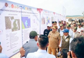 Pemprov Riau Butuh 9.966 Hektare Lahan Alternatif untuk Percepatan Pemulihan TNTN